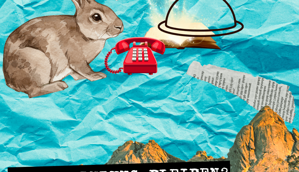 Collage aus Hase, Telefon und dem Schriftzug: In Verbinung bleiben. Von Hasen, Pfeffersoße und Sichtbarkeit