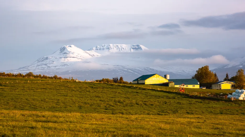 Foto von Haus auf Island. Sonne auf gelebe Hauswand, beeindruckende Wolken